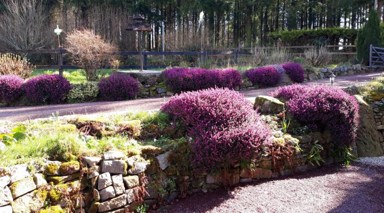Bed and Breakfast Le Petit Bois Normand - Chambre D'Hote Champ-du-Boult Exterior foto