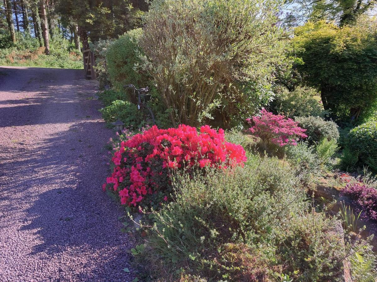 Bed and Breakfast Le Petit Bois Normand - Chambre D'Hote Champ-du-Boult Exterior foto